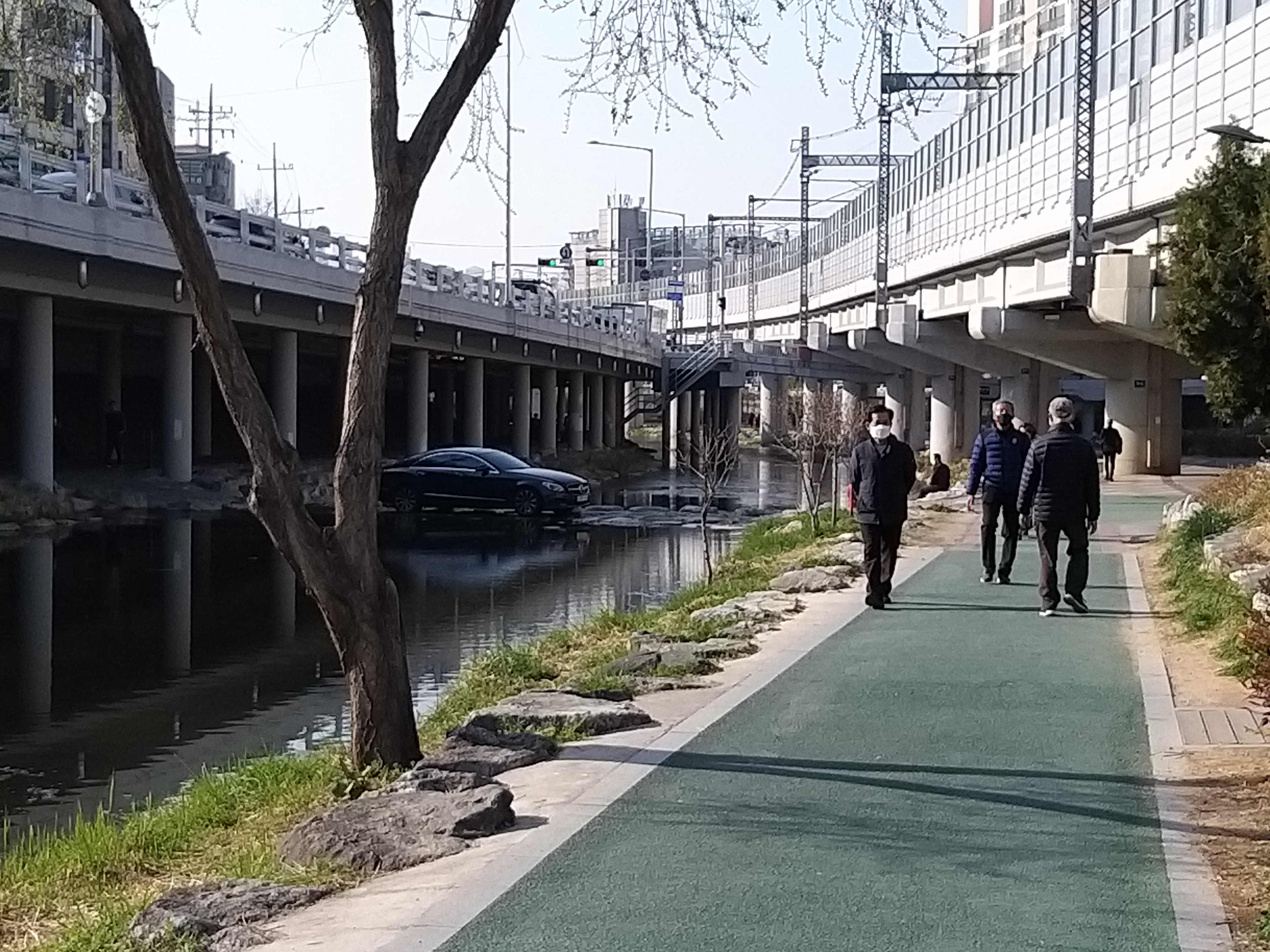 도림천에 나타난 벤츠
