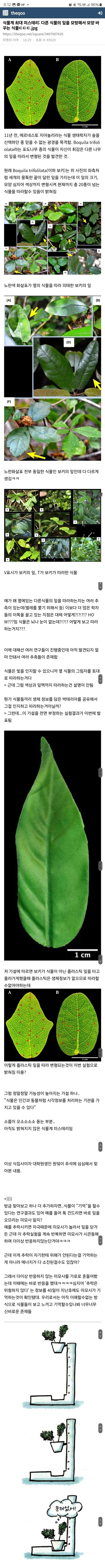 식물계 최대 미스터리.jpg | mbong.kr 엠봉