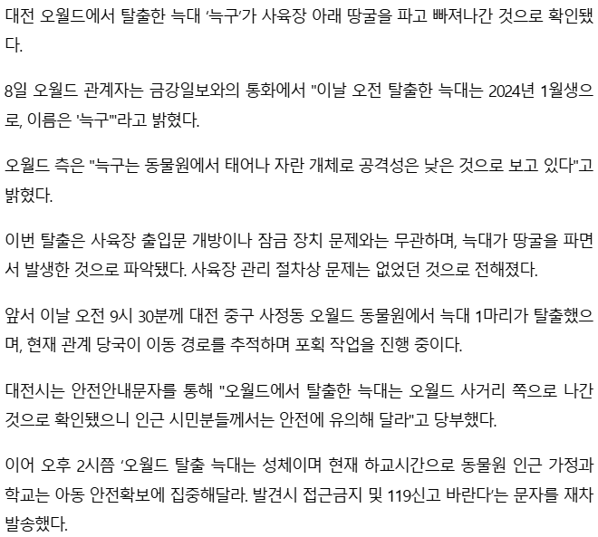 [단독] 대전 오월드 늑대 '늑구'... 땅굴 파고 탈출 | mbong.kr 엠봉