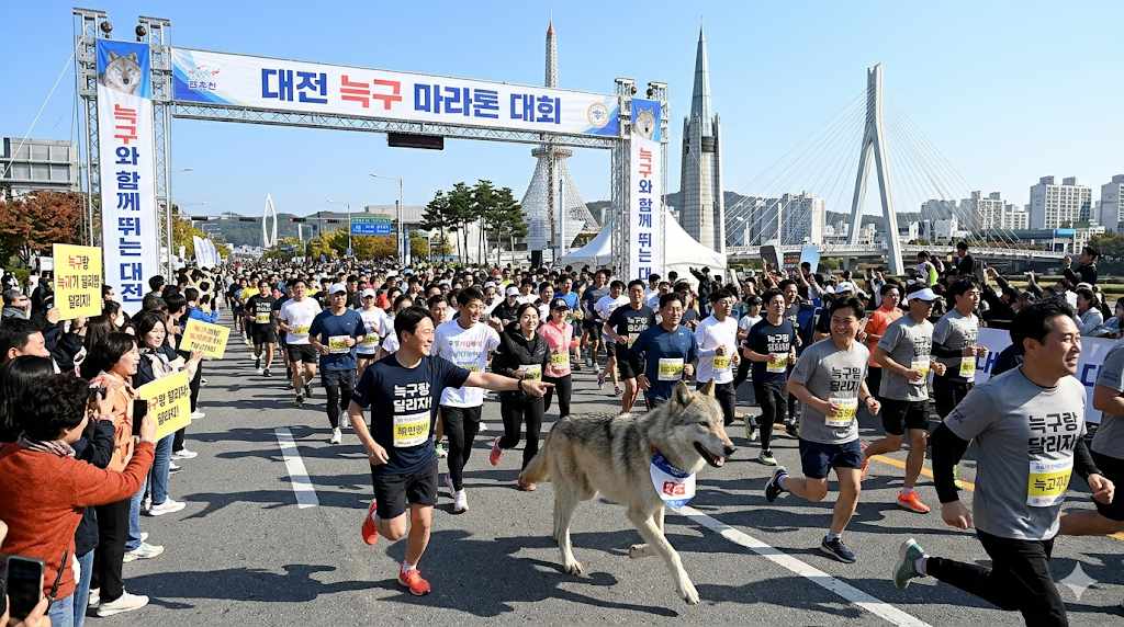 대전의 슈퍼스타 늑구의 미래 | mbong.kr 엠봉