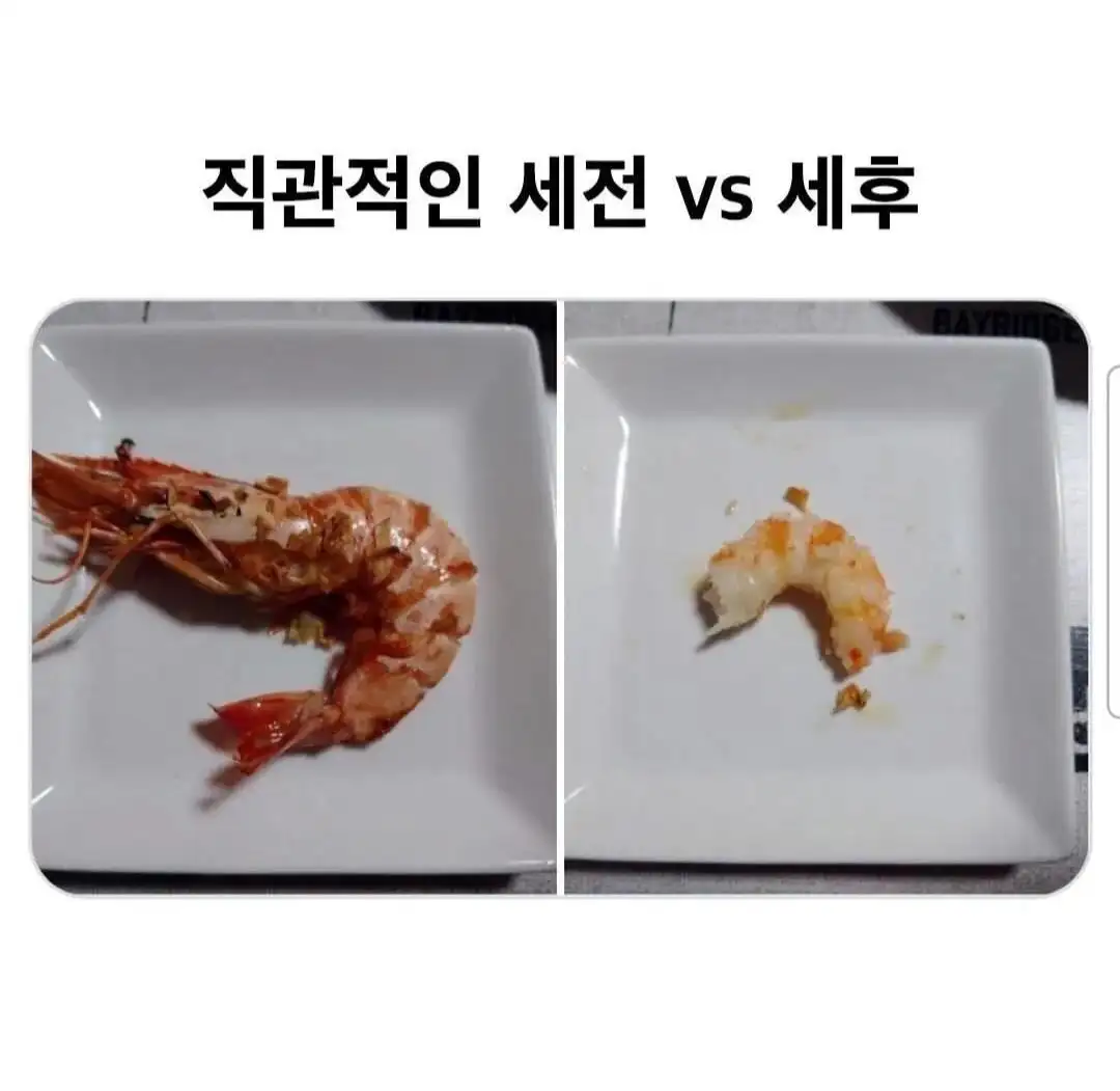 그림으로 배우는 세전 , 세후 , 연말정산 | mbong.kr 엠봉