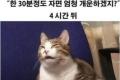샘플