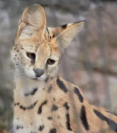 대학원생이 될 위기에 처한 2학년 | mbong.kr 엠봉