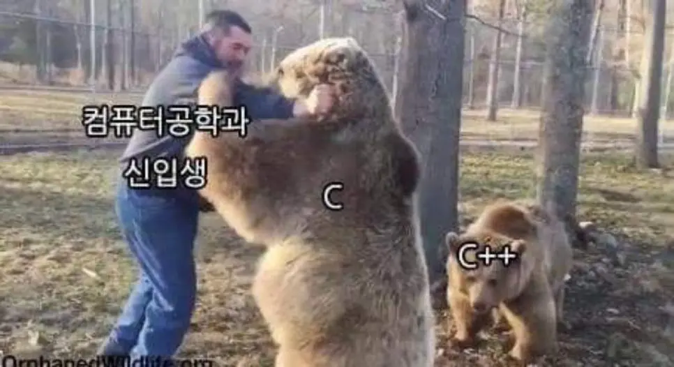 CZHtA.webp