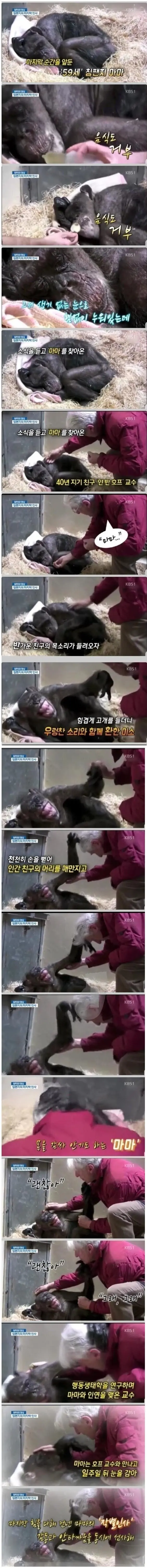 40년지기 친구와의 마지막 만남 | mbong.kr 엠봉