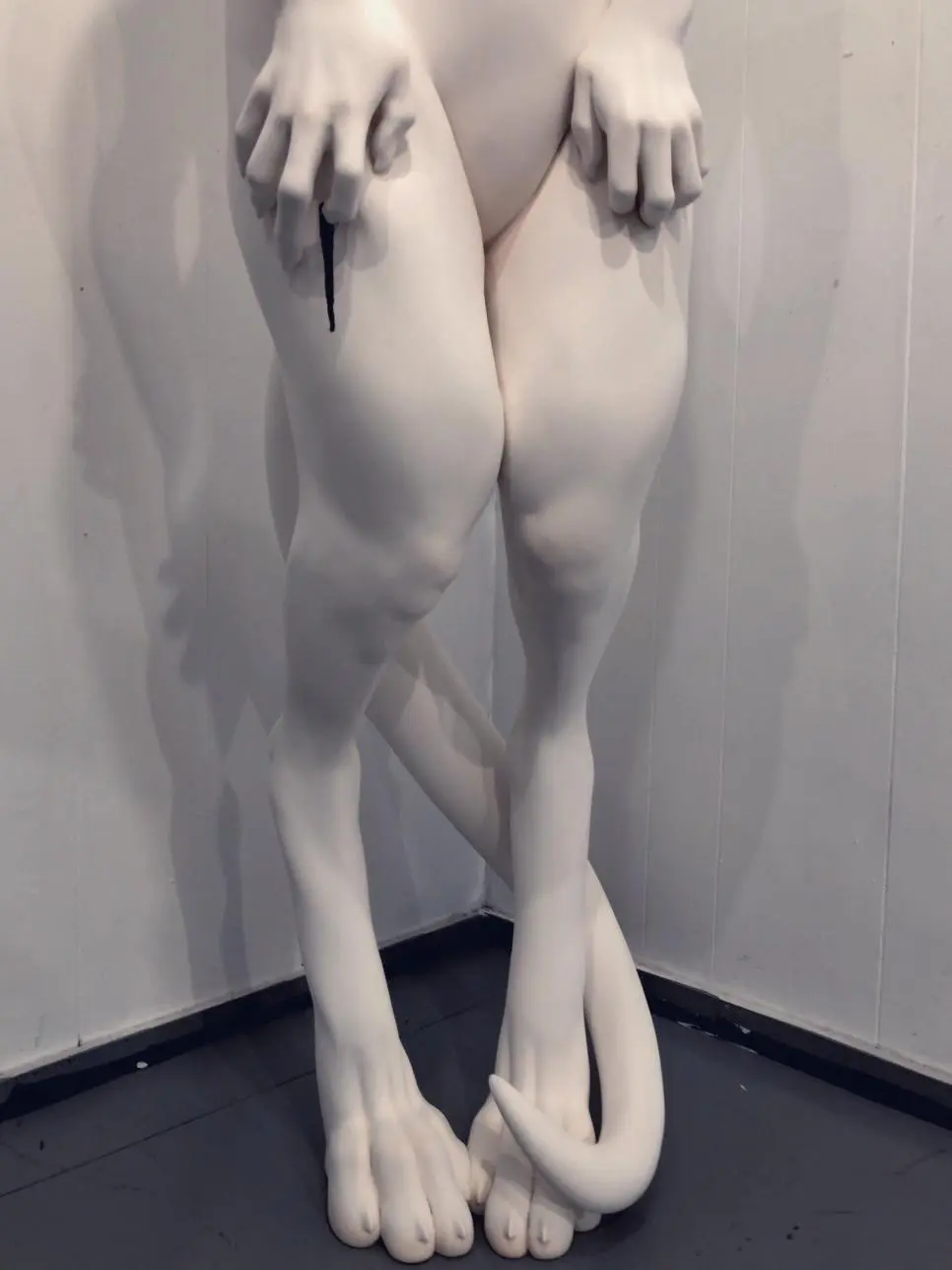 DFYL5.webp