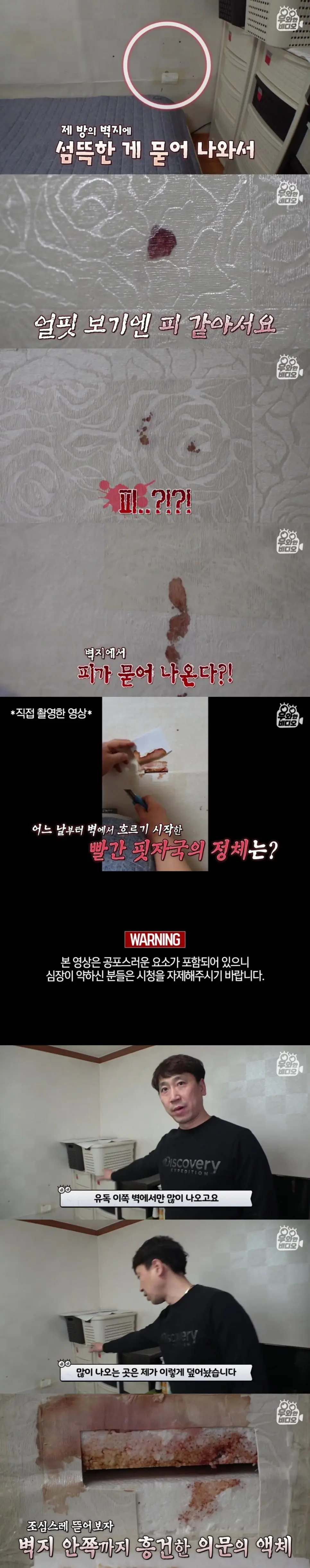 벽에서 나오는 핏물...jpg | mbong.kr 엠봉