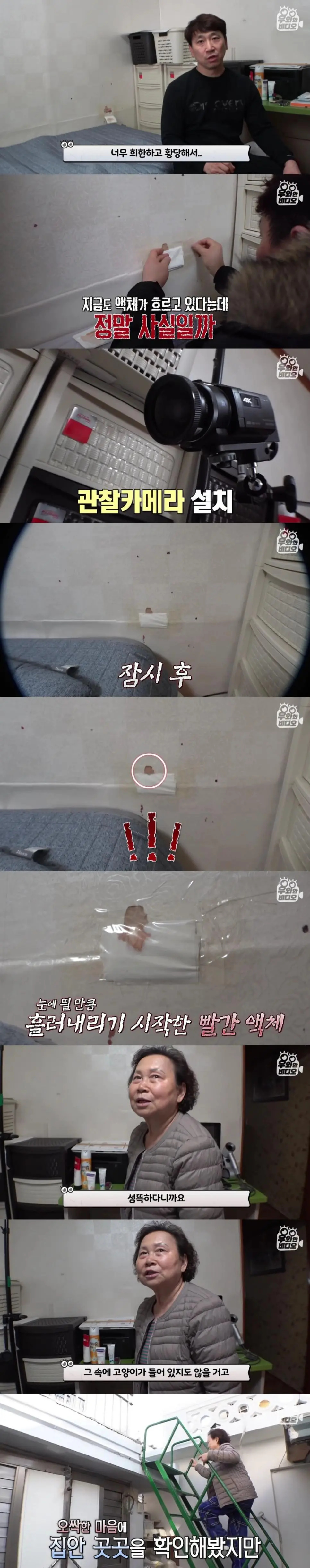 벽에서 나오는 핏물...jpg | mbong.kr 엠봉