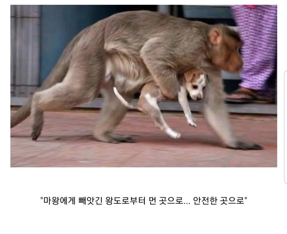 DZhGX.webp
