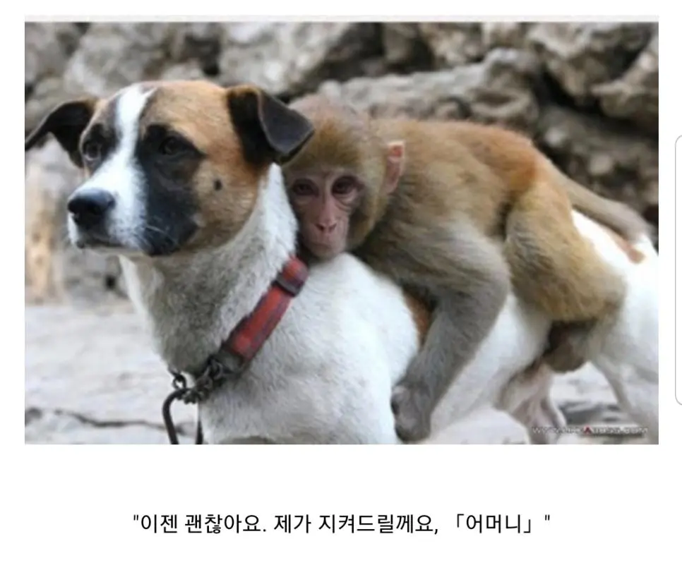 DZhGk.webp