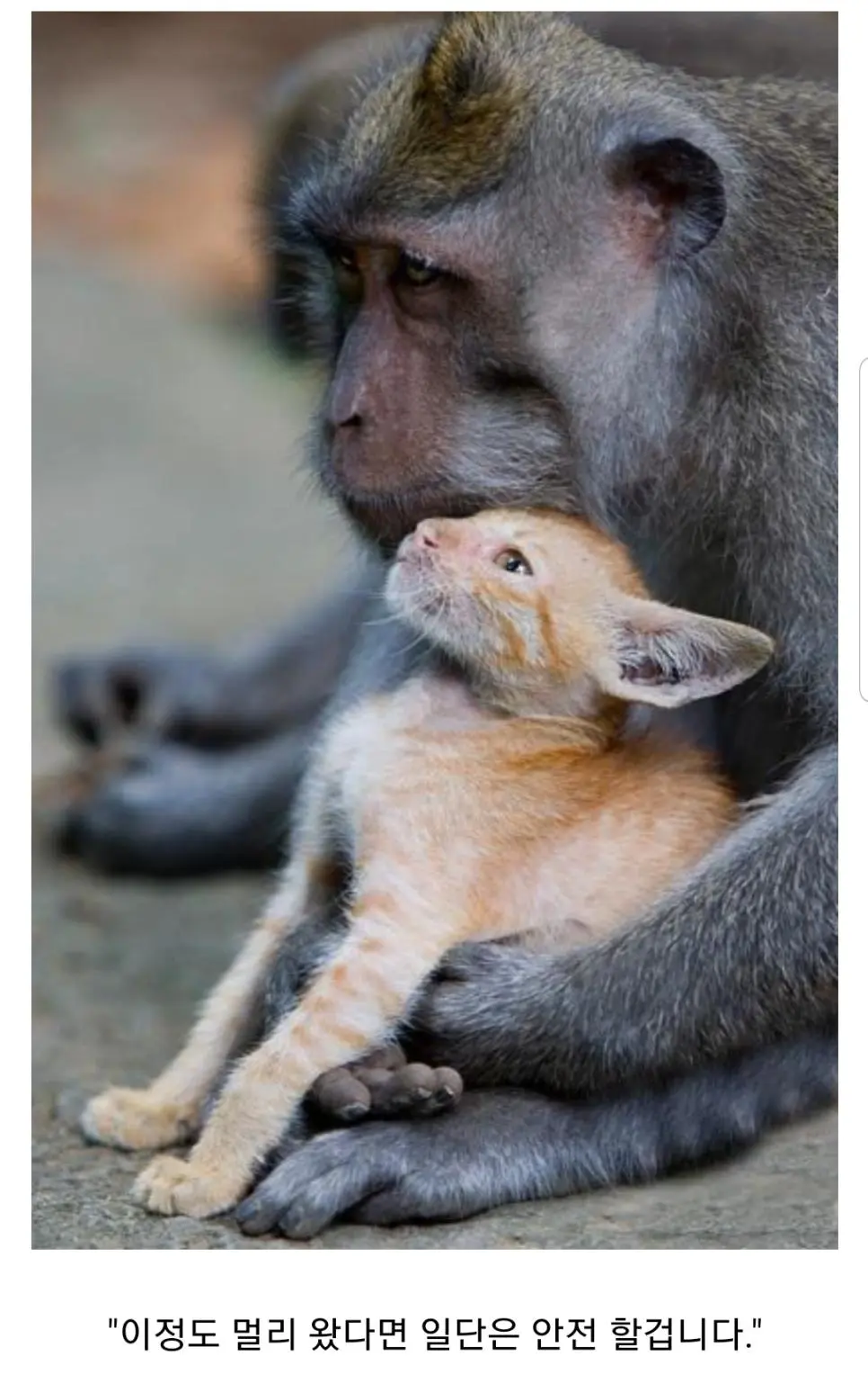 DZhGo.webp