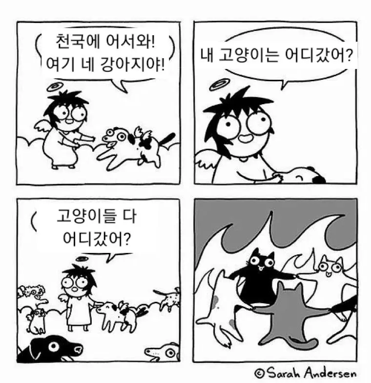 DtMBS.webp