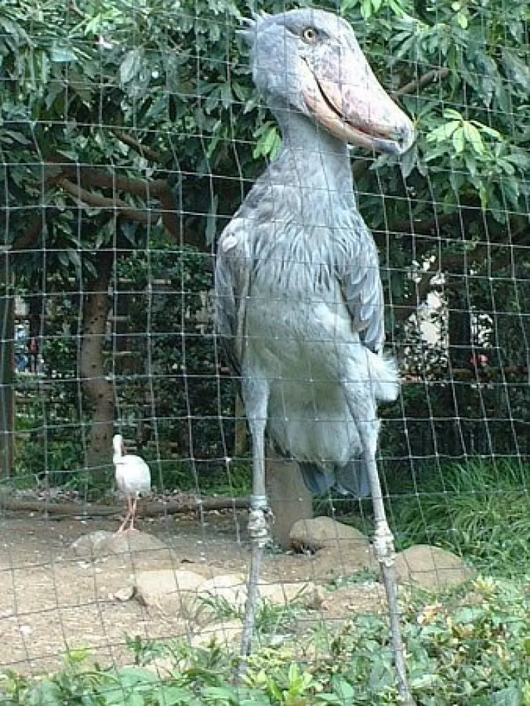 DyqWI.webp