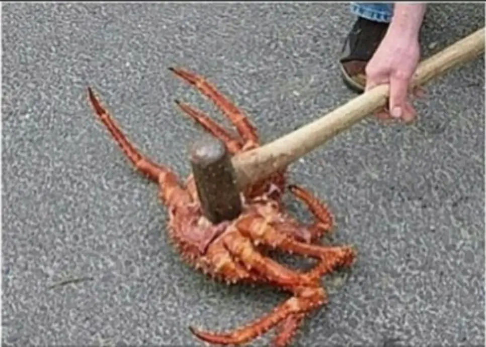 내려치기 제대로 당한 게임.jpg | mbong.kr 엠봉