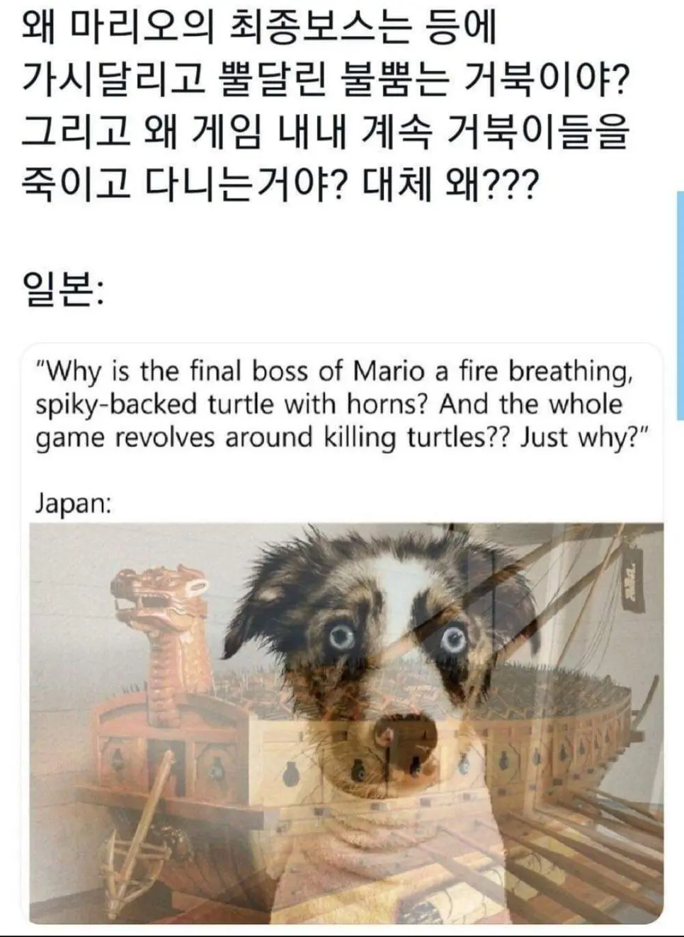 의외로 PTSD인 것.jpg | mbong.kr 엠봉