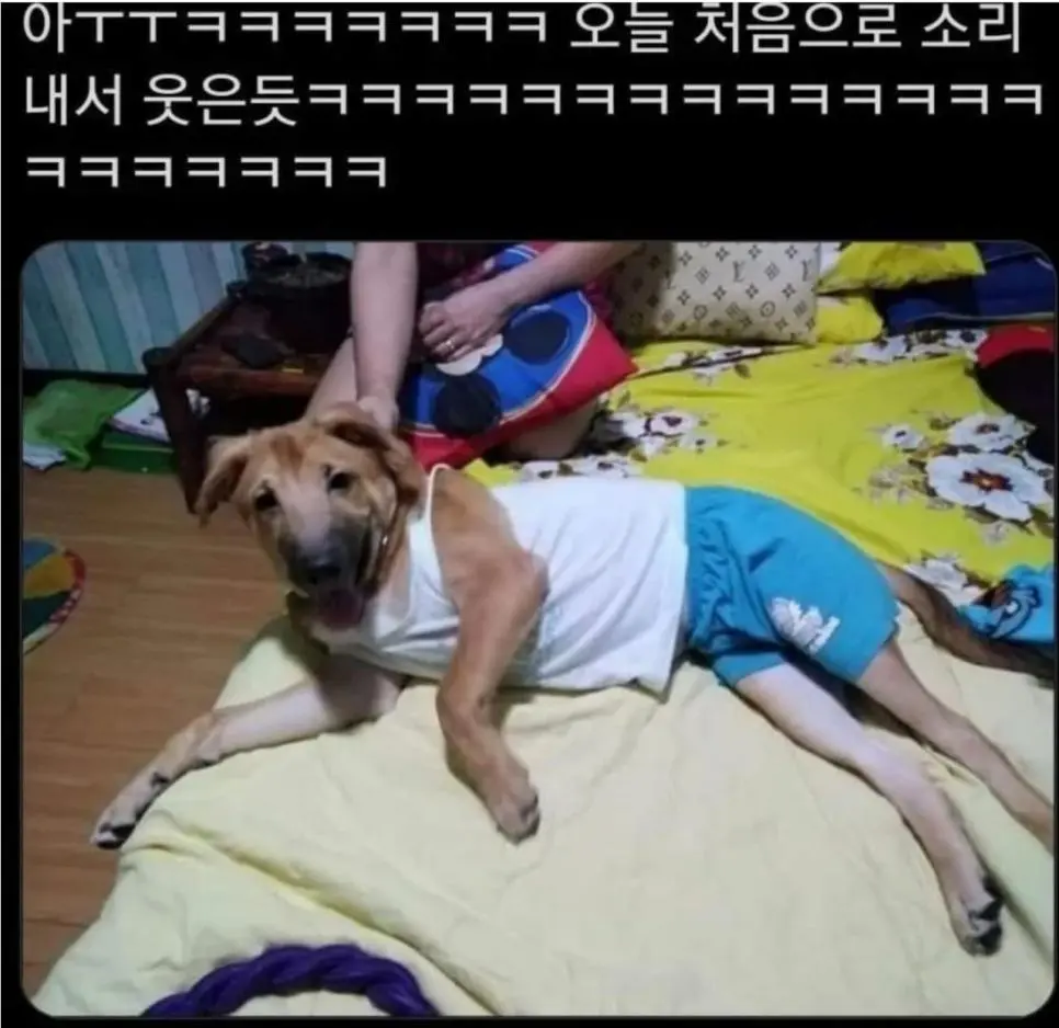 EXqbR.webp