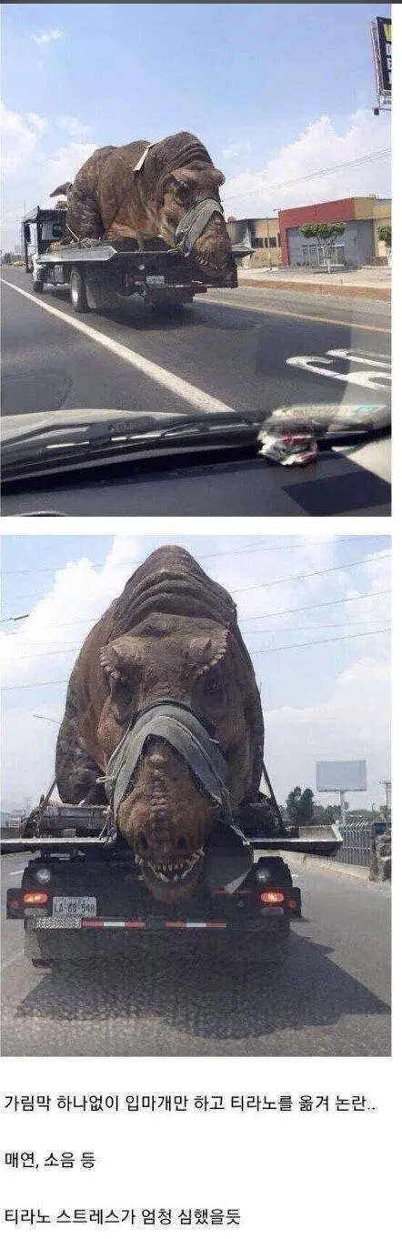 동물 학대다 vs 어쩔수없다 | mbong.kr 엠봉