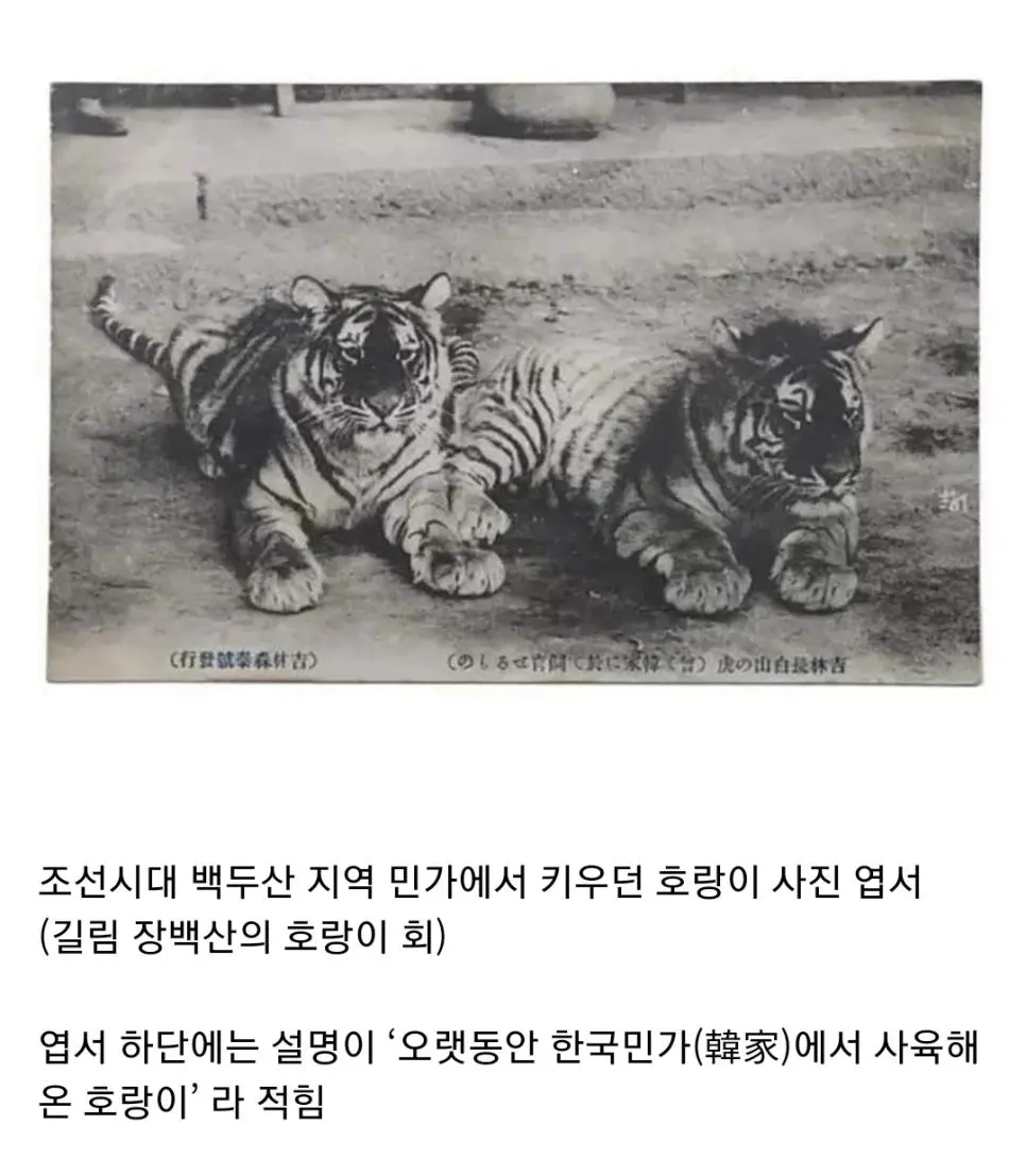 F3dBe.webp