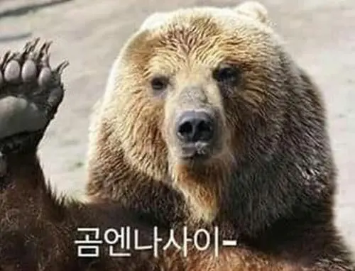 아마추어의 반댓말은? | mbong.kr 엠봉