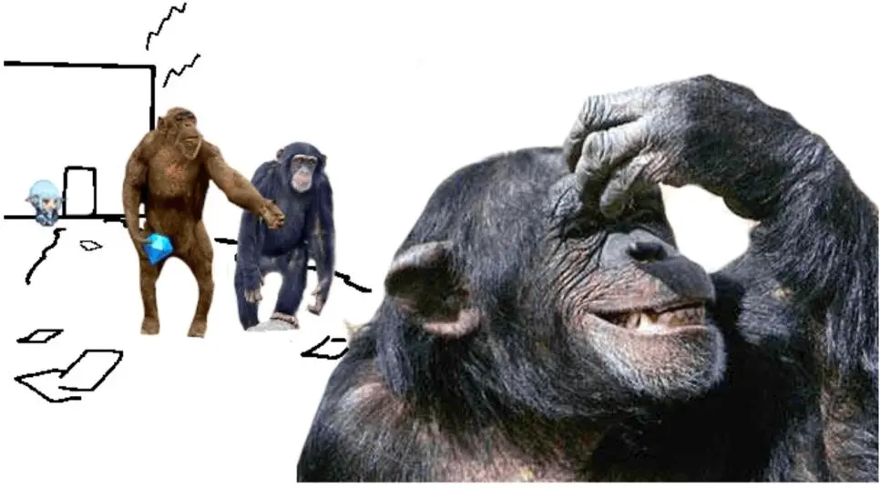 원피스 스포?) 원피스 갤러리 근황 | mbong.kr 엠봉