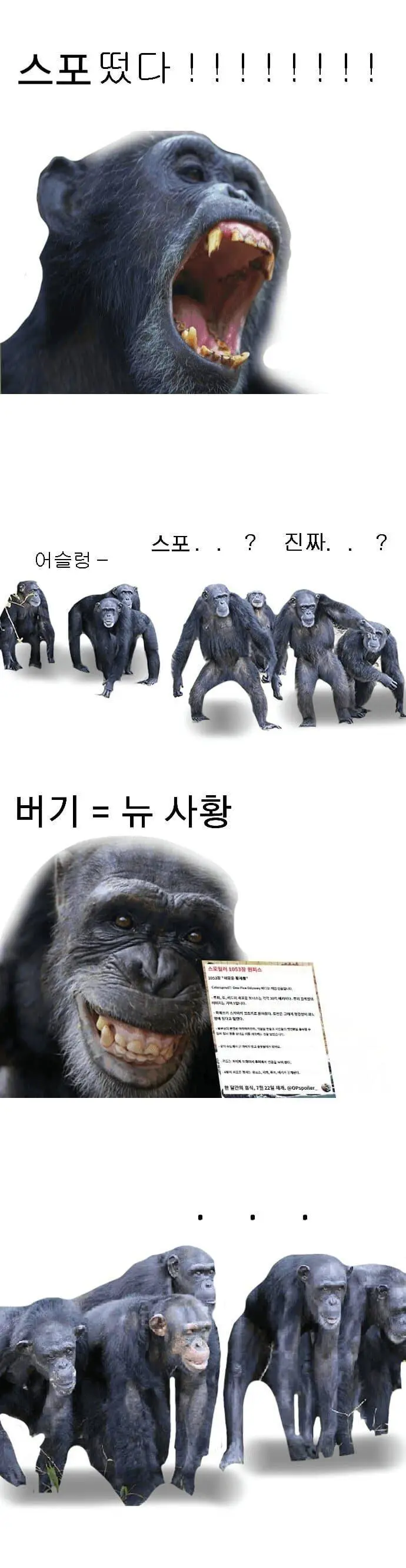 원피스 스포?) 원피스 갤러리 근황 | mbong.kr 엠봉