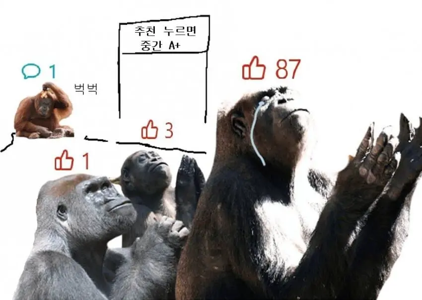 원피스 스포?) 원피스 갤러리 근황 | mbong.kr 엠봉