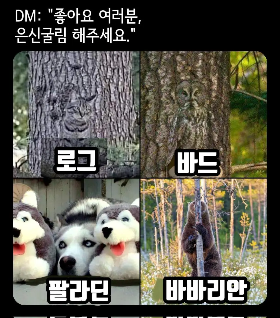 바바리안이 꿀잼인 이유 | mbong.kr 엠봉