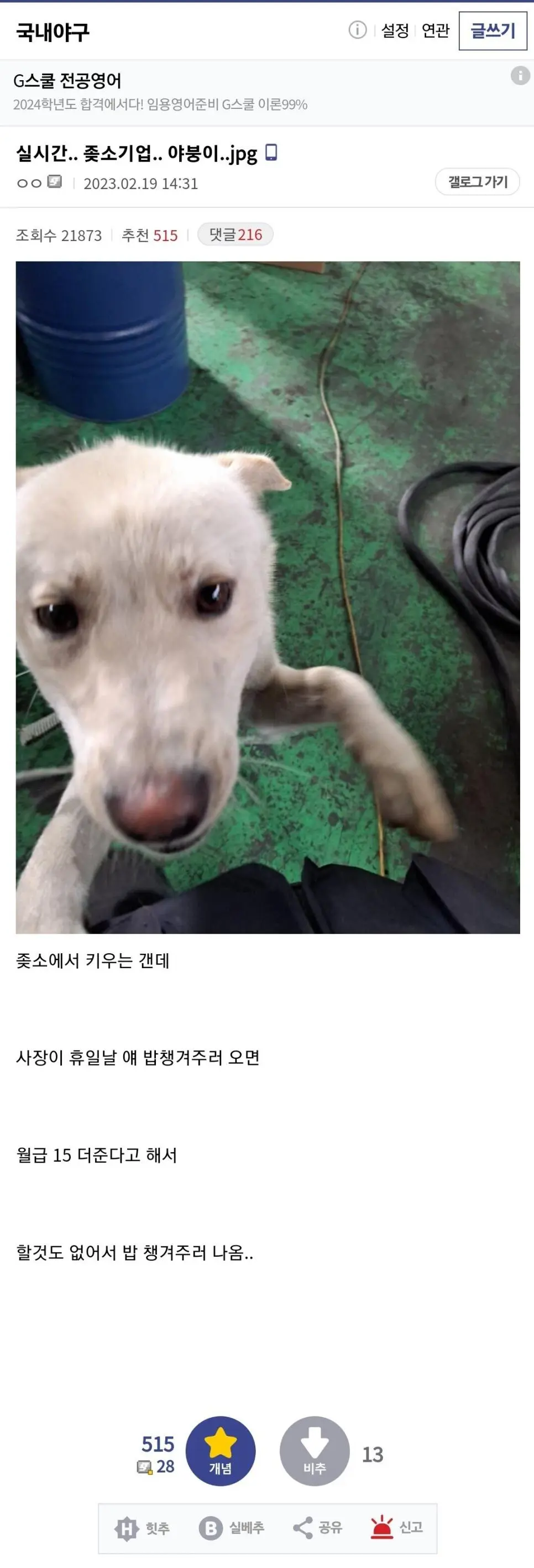 중소기업 회사원 특징 | mbong.kr 엠봉