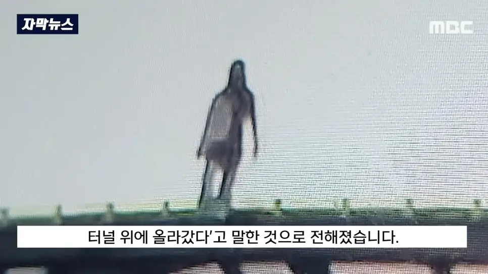공포) 보배드림 고속도로 방음터널 귀신의 정체.jpg | mbong.kr 엠봉