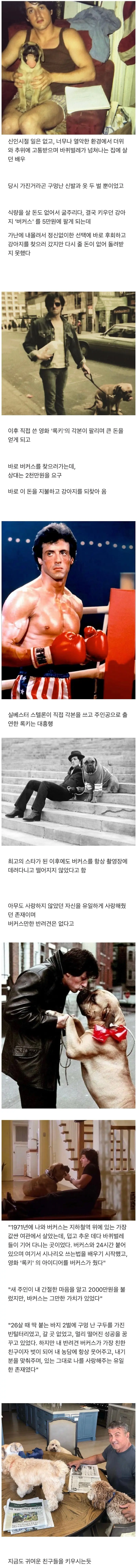 5만원에 자기 강아지를 판 배우..JPG | mbong.kr 엠봉