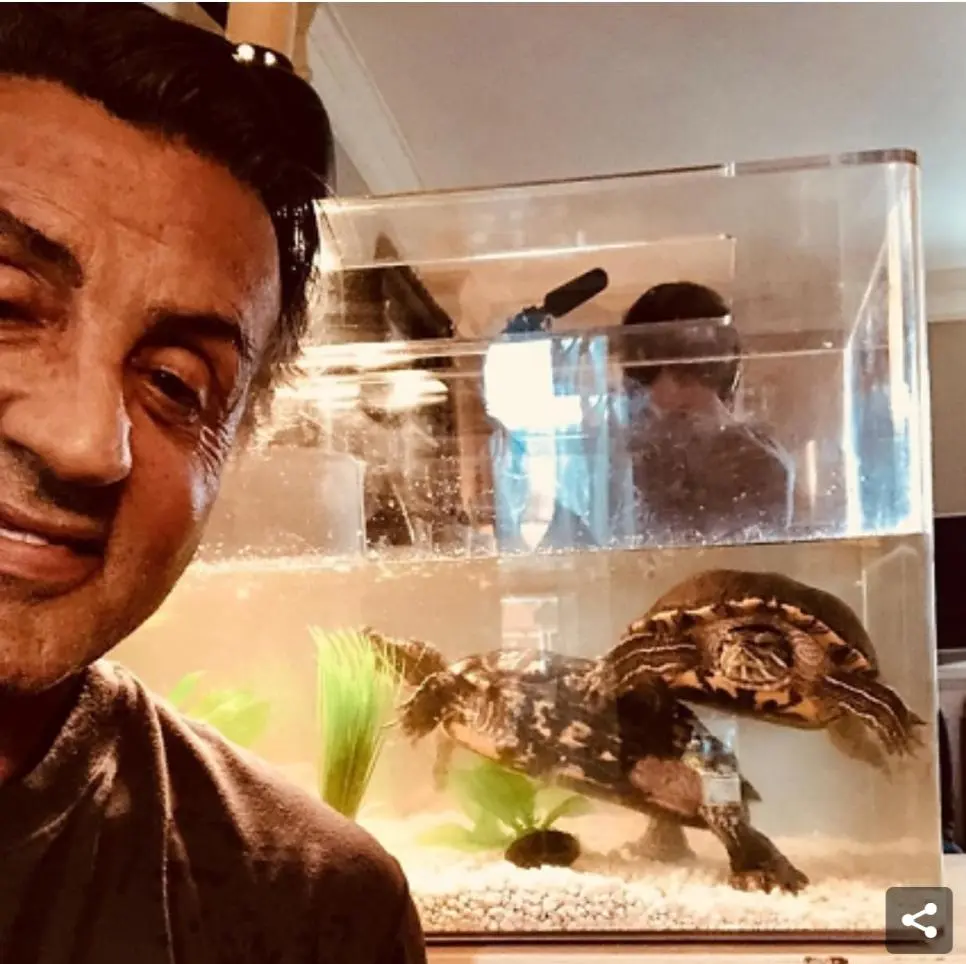 5만원에 자기 강아지를 판 배우..JPG | mbong.kr 엠봉