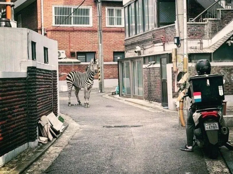 AI같은 사진 | mbong.kr 엠봉