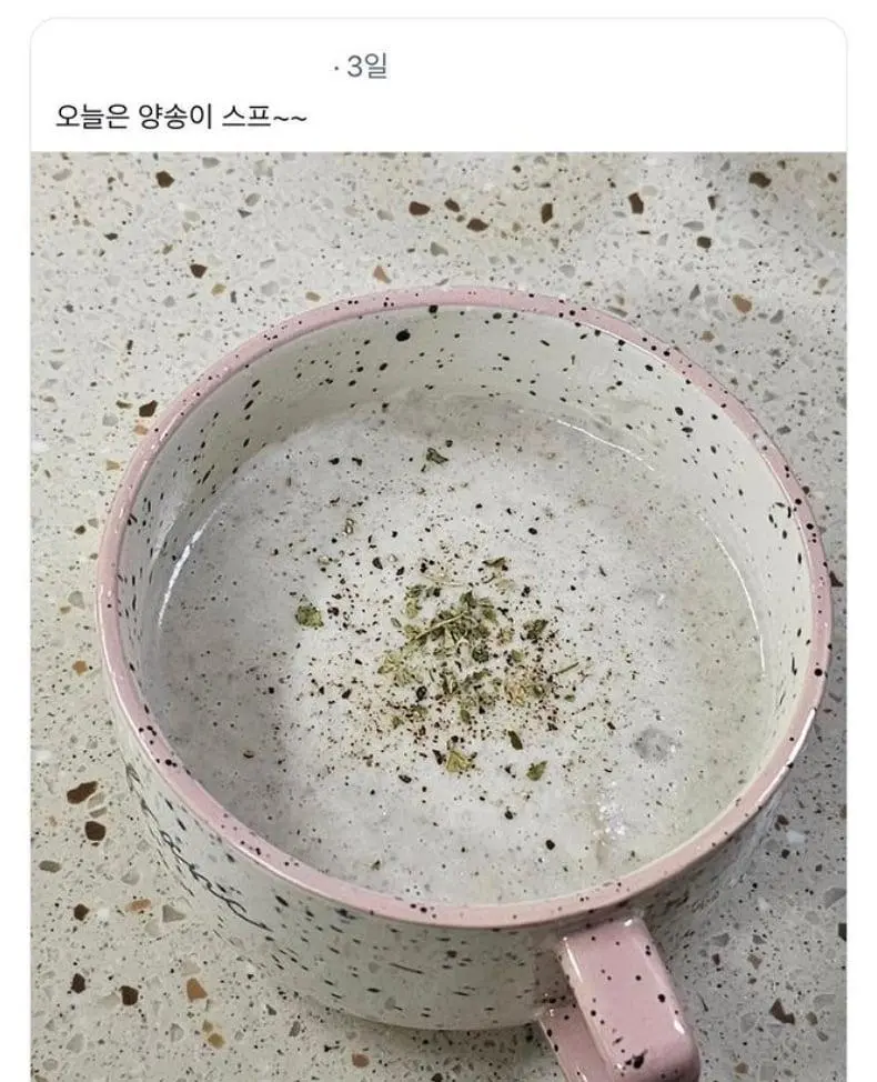 보호색의 보호색의 보호색.jpg | mbong.kr 엠봉