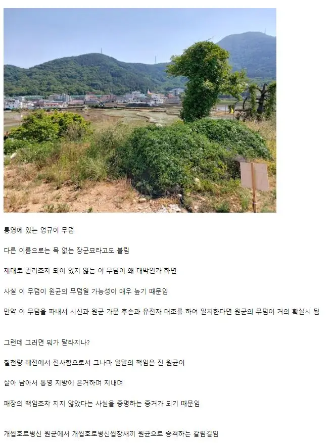 원균 은둔설 | mbong.kr 엠봉