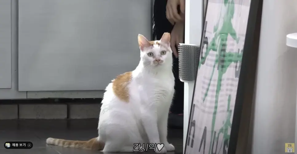 HJ5p1.webp