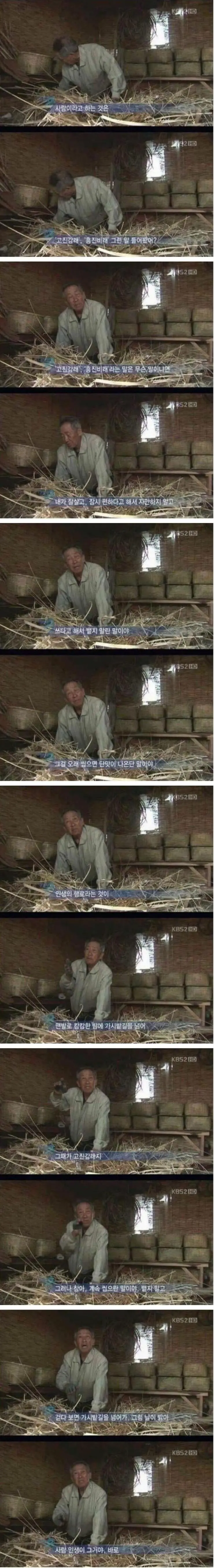 전설로 회자되고 있는 다큐 3일 레전드 명언들 | mbong.kr 엠봉