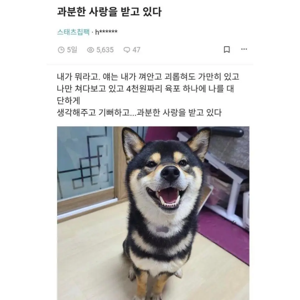 HyeOO.webp