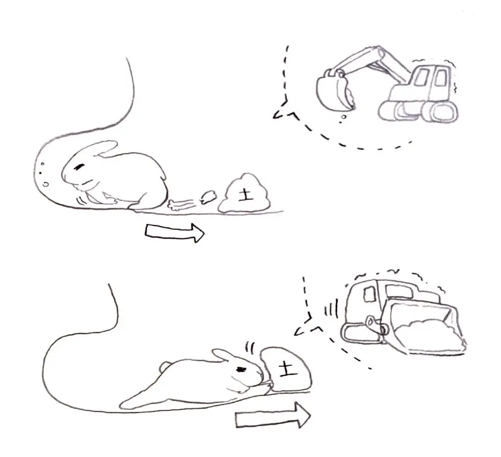 굴파던 토끼가 당황한이유 | mbong.kr 엠봉