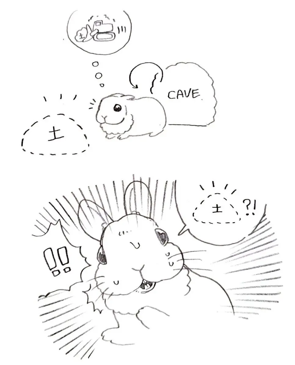 굴파던 토끼가 당황한이유 | mbong.kr 엠봉