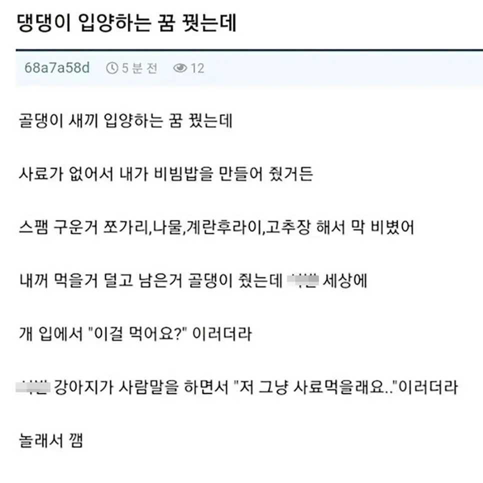 댕댕이 입양하는 꿈을 꾼 사람 | 인스티즈