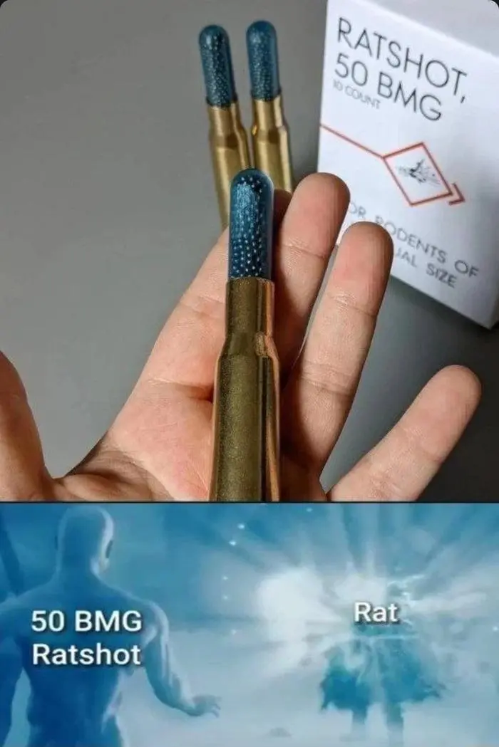 미국 쥐잡이용 50 구경탄.gif | mbong.kr 엠봉