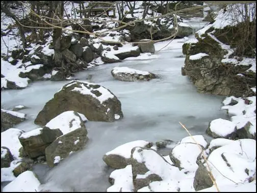 나라 꼬라지 진짜.... 현재 심각한 대한민국 물가 근황 | mbong.kr 엠봉