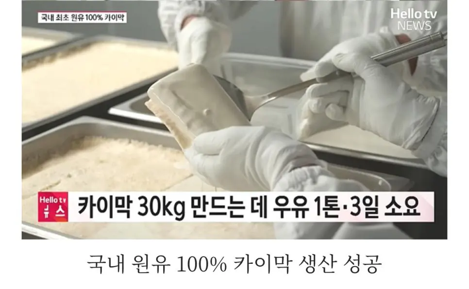 국내 카이막 생산 | mbong.kr 엠봉