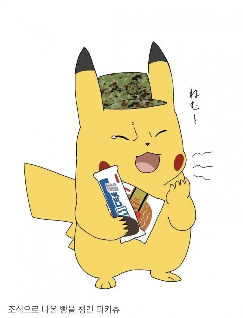 피카츄의 군생활.manhwa | mbong.kr 엠봉