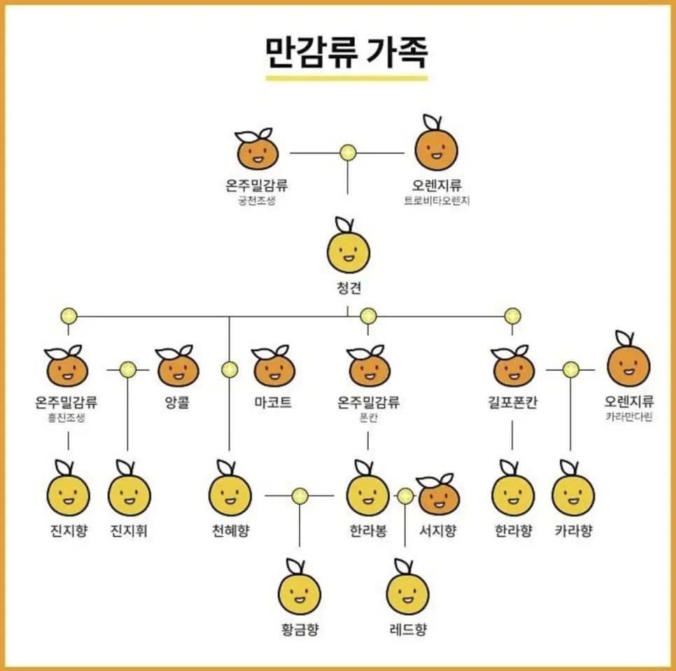귤 가족.jpg | 인스티즈