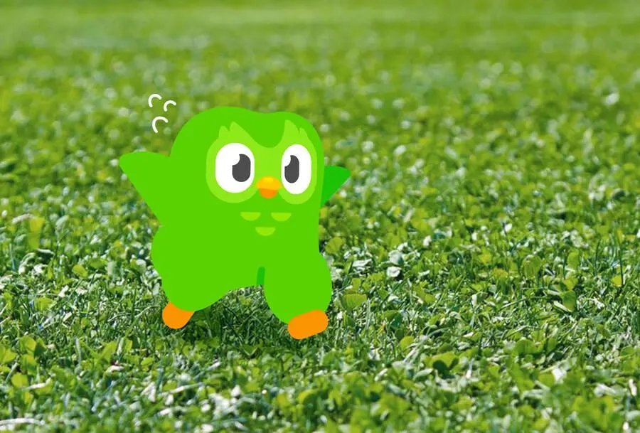 J1XCO.webp