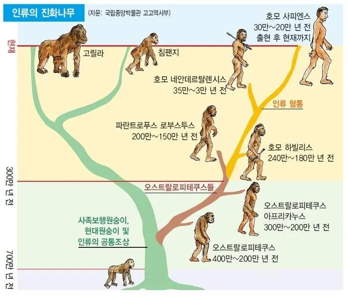 J3ZAO.webp