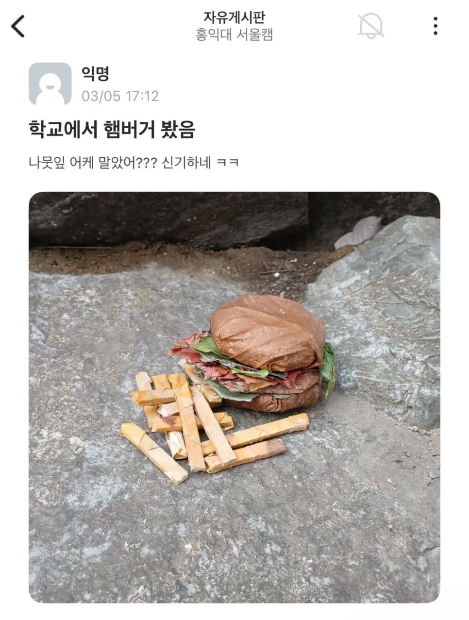 홍대 에타에 올라온 햄버거.jpg | mbong.kr 엠봉