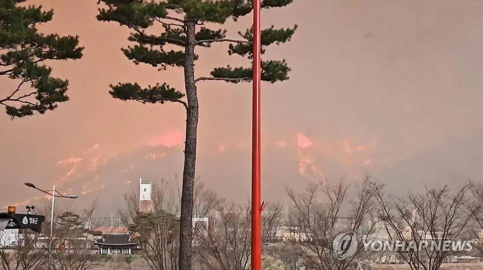 [속보]'의성 산불'에 법무부안동·경북북부 교도소 재소자 2600명 대피 결정 이미지 1