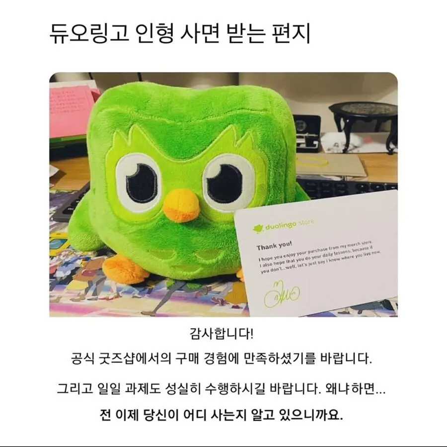 듀오링고 인형 사면 받는 편지 | 인스티즈